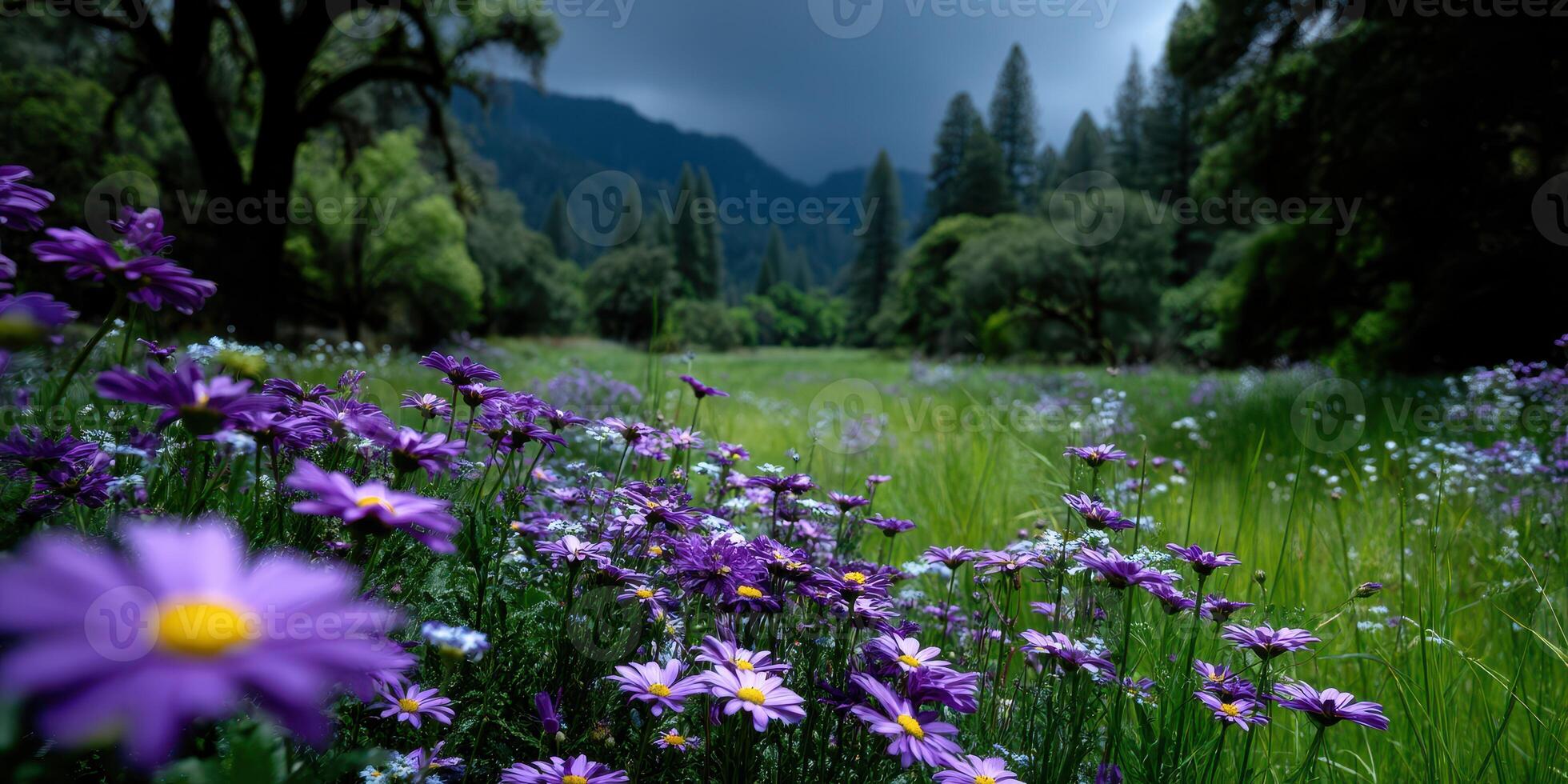 Vibrant purple flowers bloom in a meadow surrounded by tall trees under a dramatic sky in an outdoor setting photo