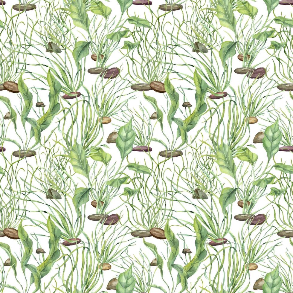 Watercolor aquatic plants, algae and pebbles creating underwater bottom effect seamless pattern isolated background. Water floating kelps illustration. Aquarium ornate for marine biodiversity decor. vector