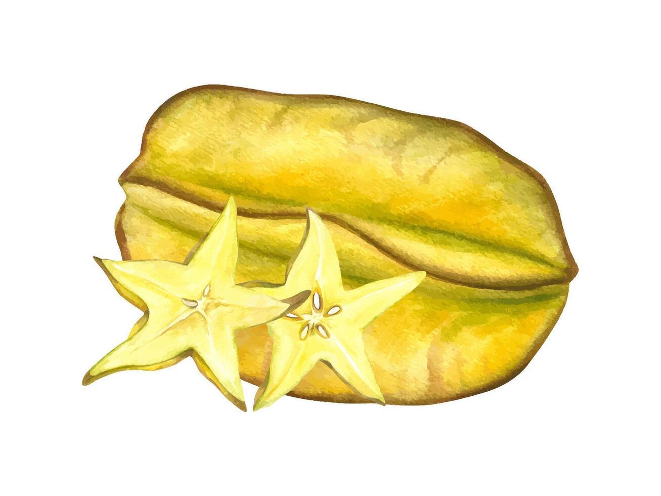 Ripe yellow green carambola with slices watercolor illustration isolated background. Star fruit for food packaging, healthy eating concepts, cookbooks, tropical designs, and culinary branding vector