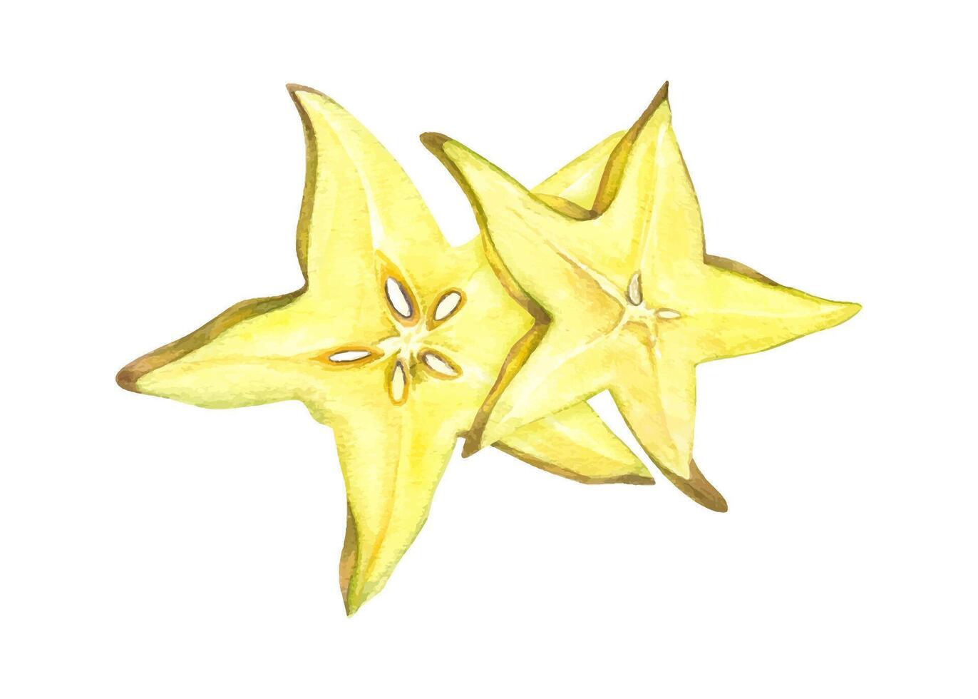 Watercolor two overlapping starfruit slices illustration isolated background. Carambola for tropical designs, healthy food packaging, juice labels, and culinary designs, beverage decor vector