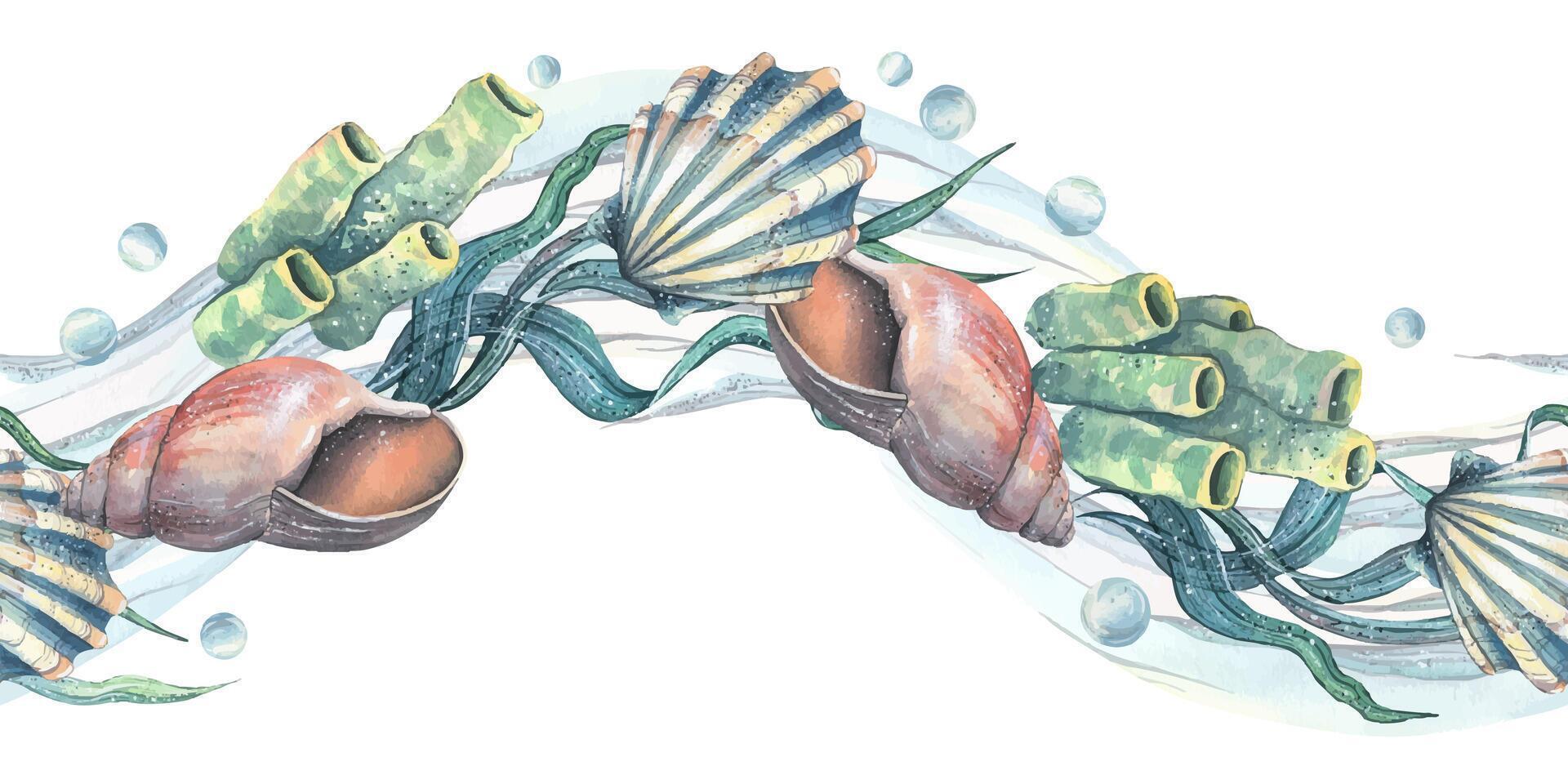 Seashells, seaweed, starfish, corals sea sponges and pebbles, bubbles. Marine watercolor illustration of the underwater world drawn by hand. Seamless pattern border isolated from the background. vector