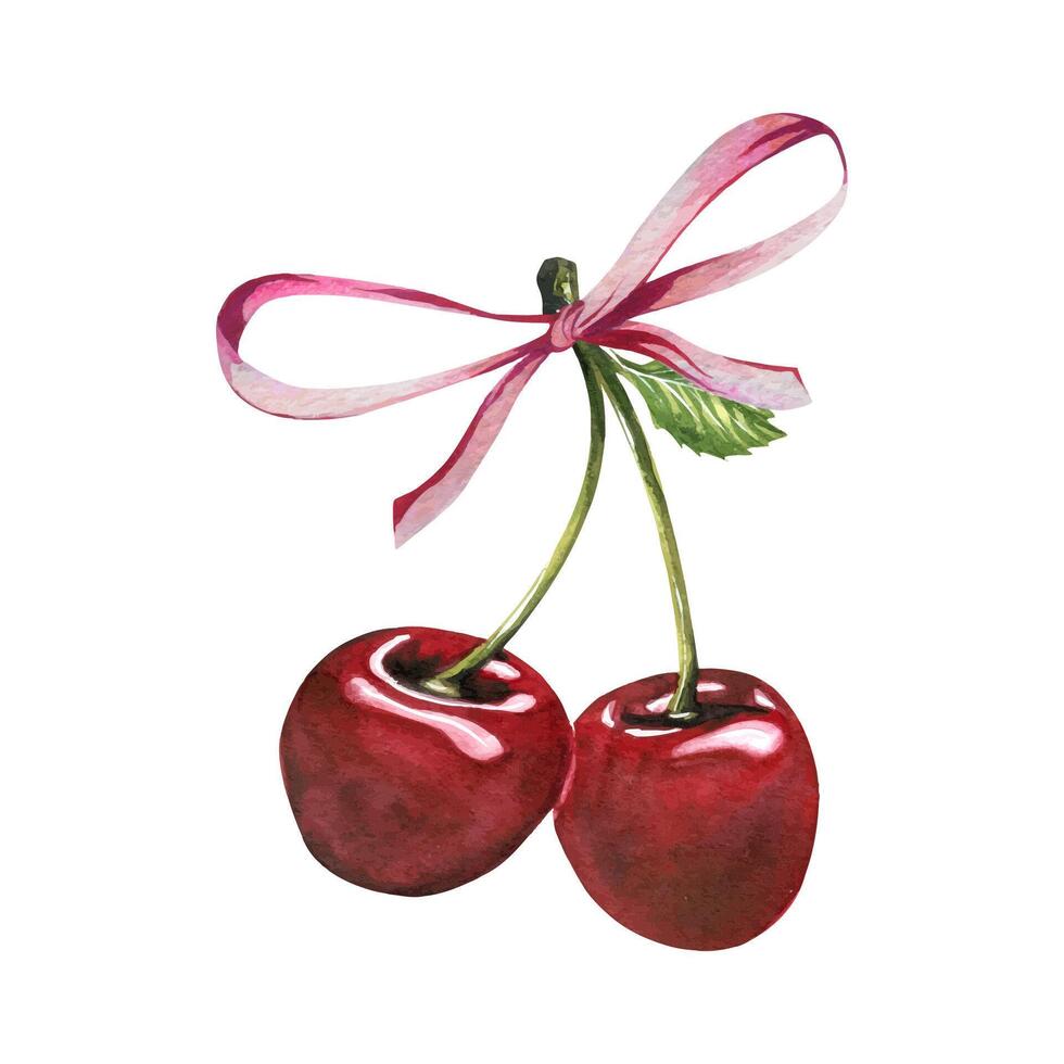 Red ripe cherries couple with leaf with cute thin elegant bow. Watercolor illustration hand drawn on the theme of fruits, food and desserts. Ready arrangement isolated from background. vector