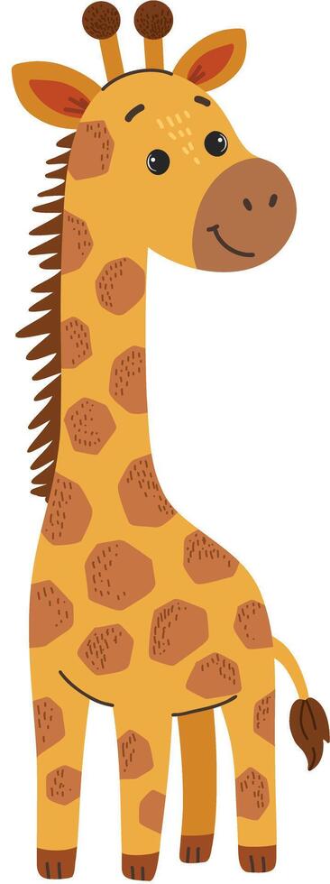 Giraffe wild savanna animal in hand drawn, doodle style. Suitable for educational materials, kids books and safari themed designs. White background. vector