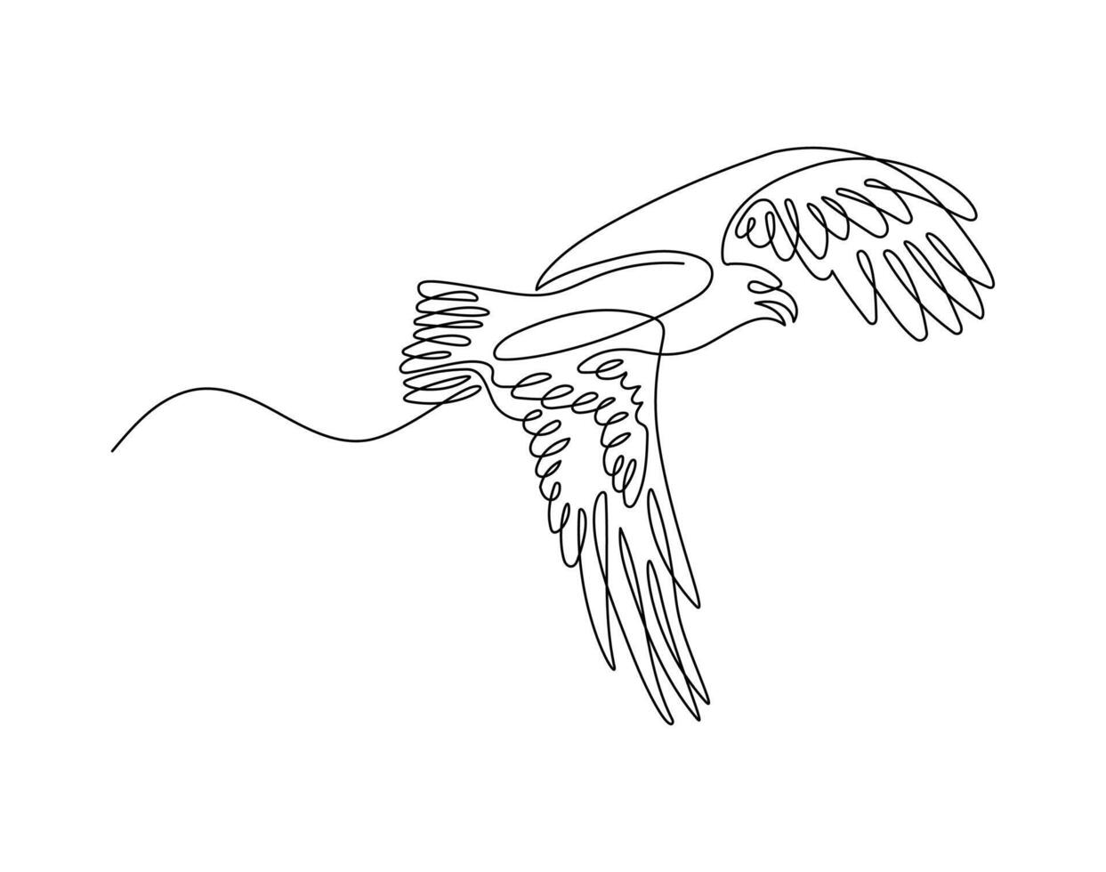 Hawk in continuous line drawing style. Minimalist sketch of eagle, hawk in minimalist black linear isolated on white background. vector