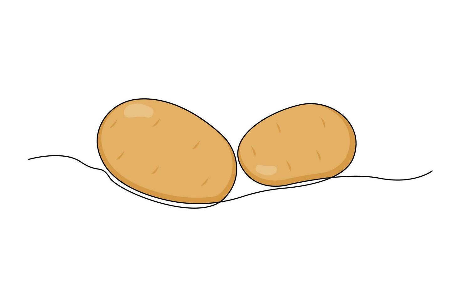 Hand-drawn potato line art drawing. Fresh food linear icon vector