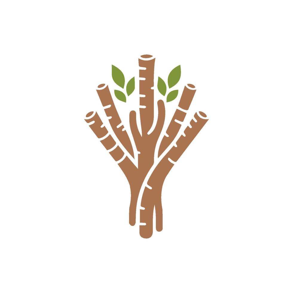 Licorice roots with leaves logo on white background. vector