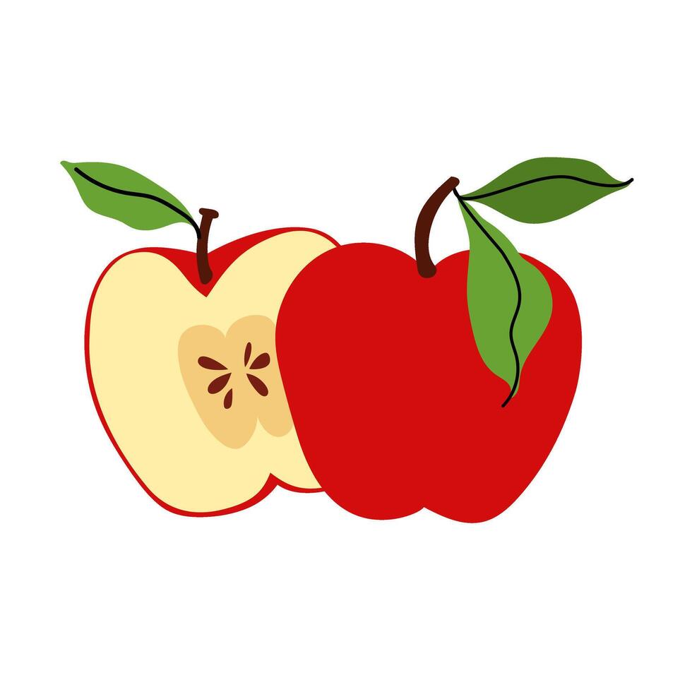 whole red apple and cut in half with foliage. Sliced summer fruit. Farm and agriculture, organic food. Flat illustration for packaging, branding, menu, recipe. vector