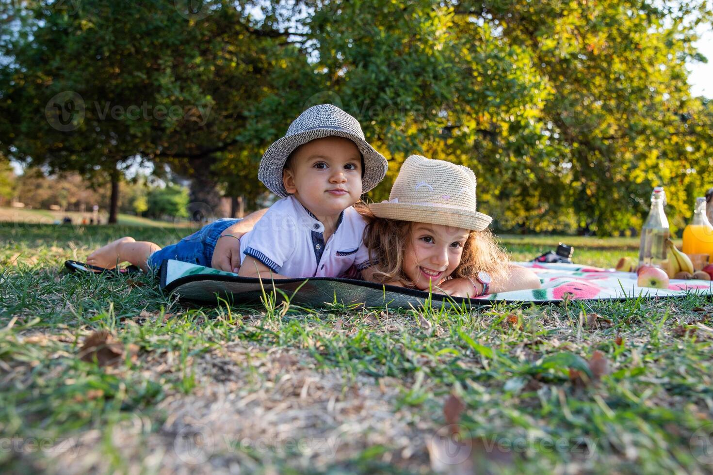 Two beautiful and joyful children lying on the picnic mat look ahead amused photo