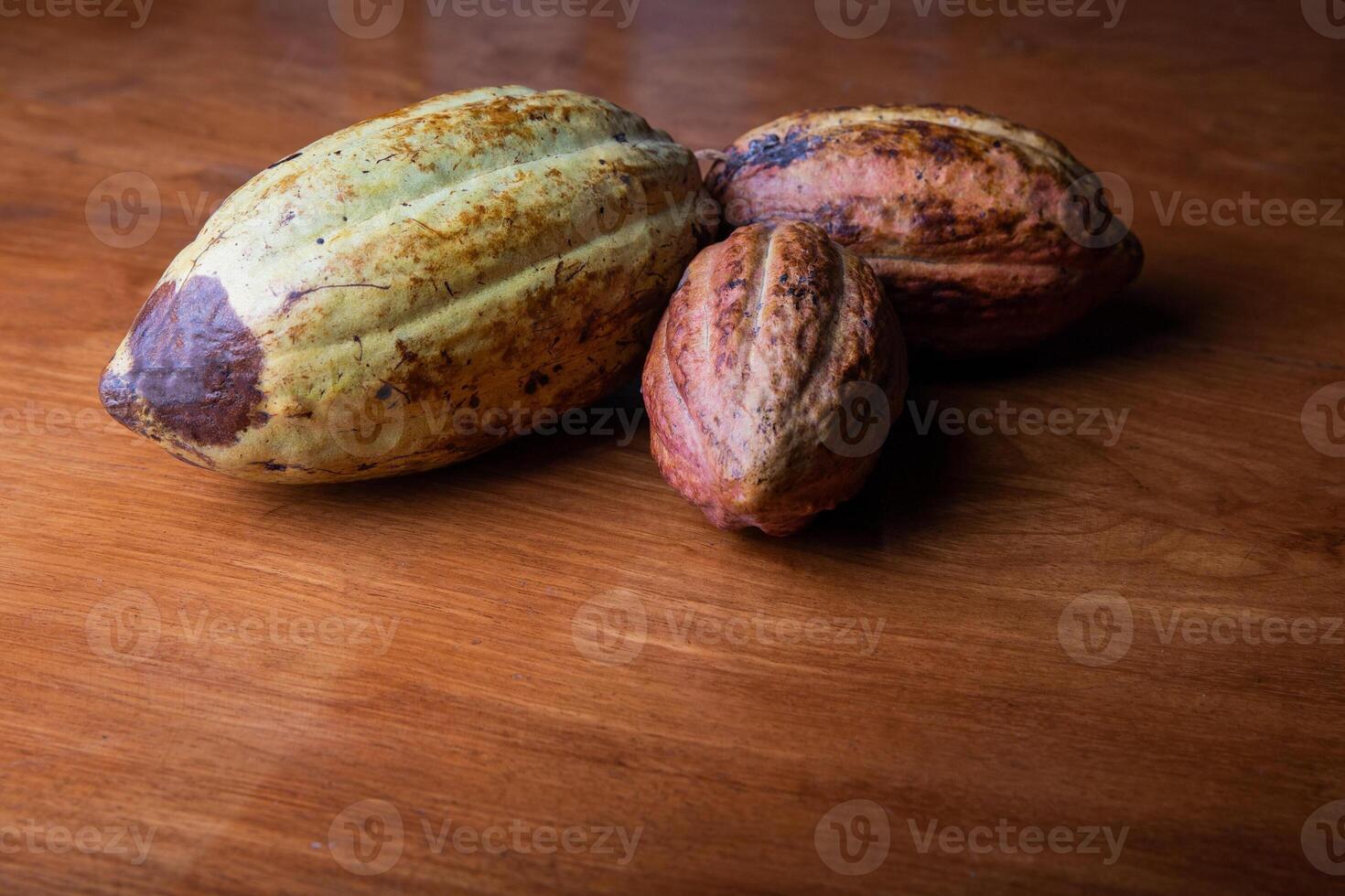 Cocoa pods arranged on a table with copy space below photo