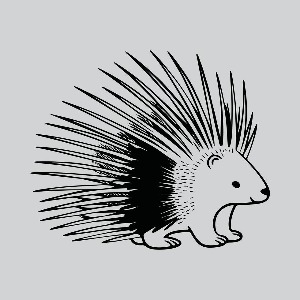 Porcupine Clip Art vector