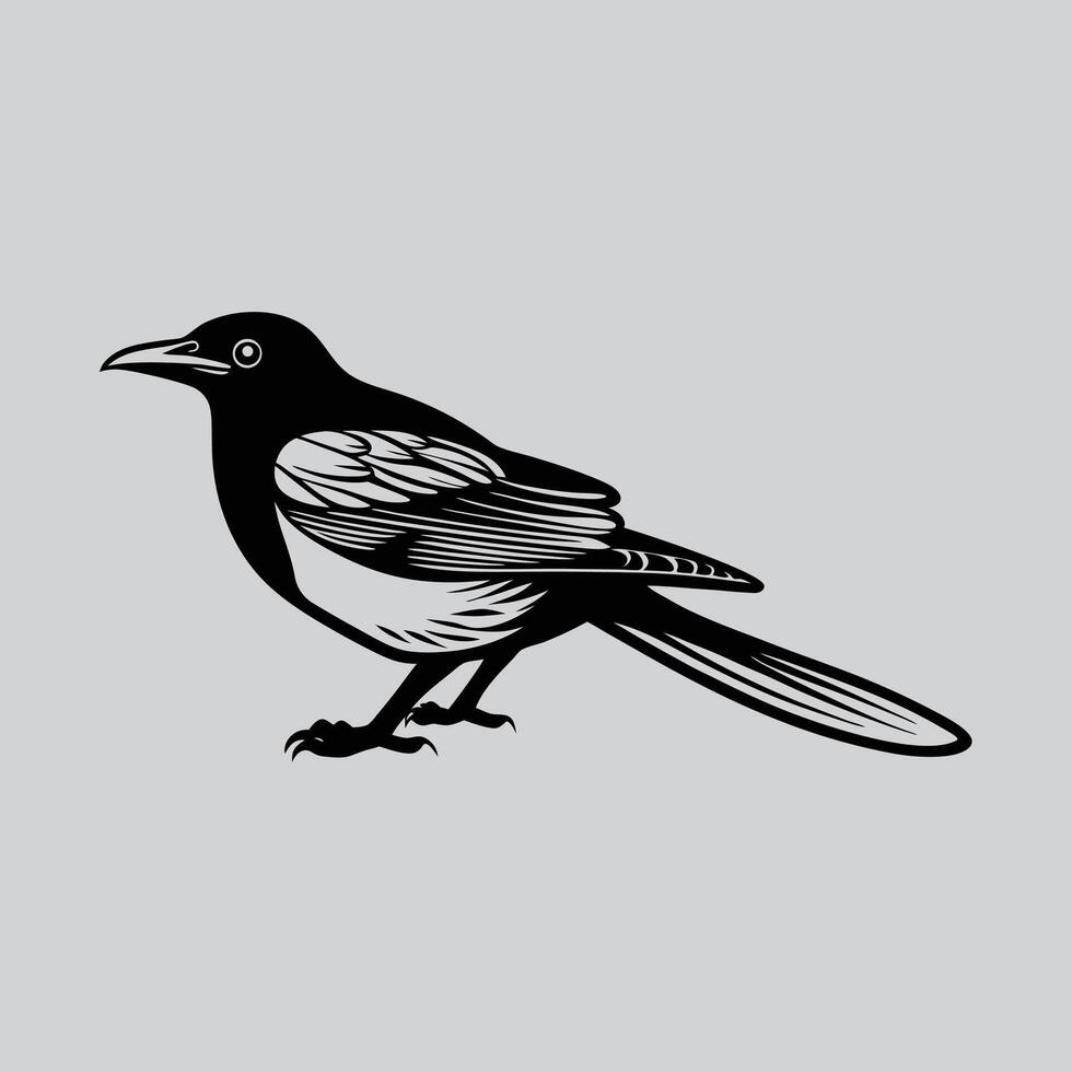 Magpie bird a silhouette vector