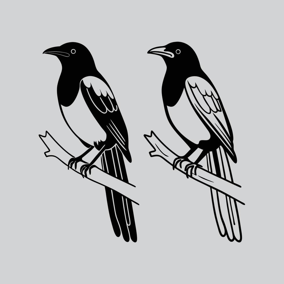 birds on a branch vector