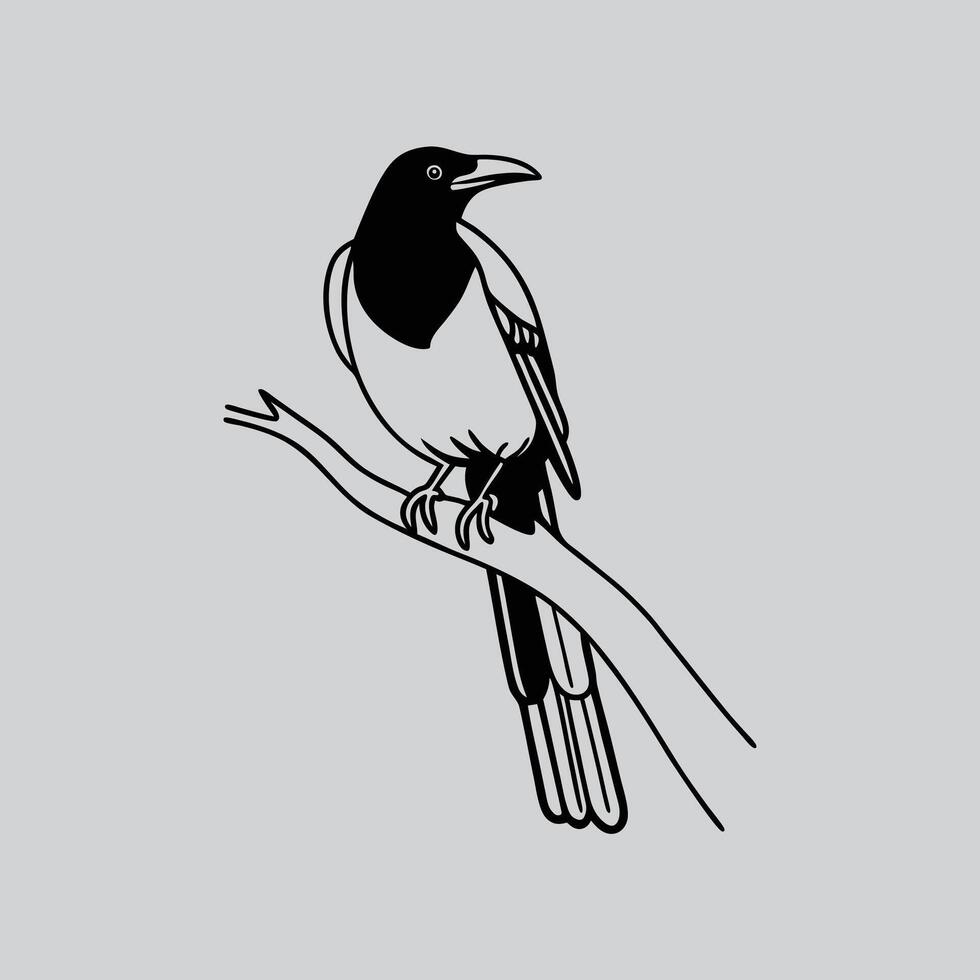Magpie sitting here vector