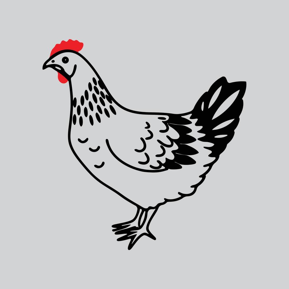 Stylized Chicken Drawing vector