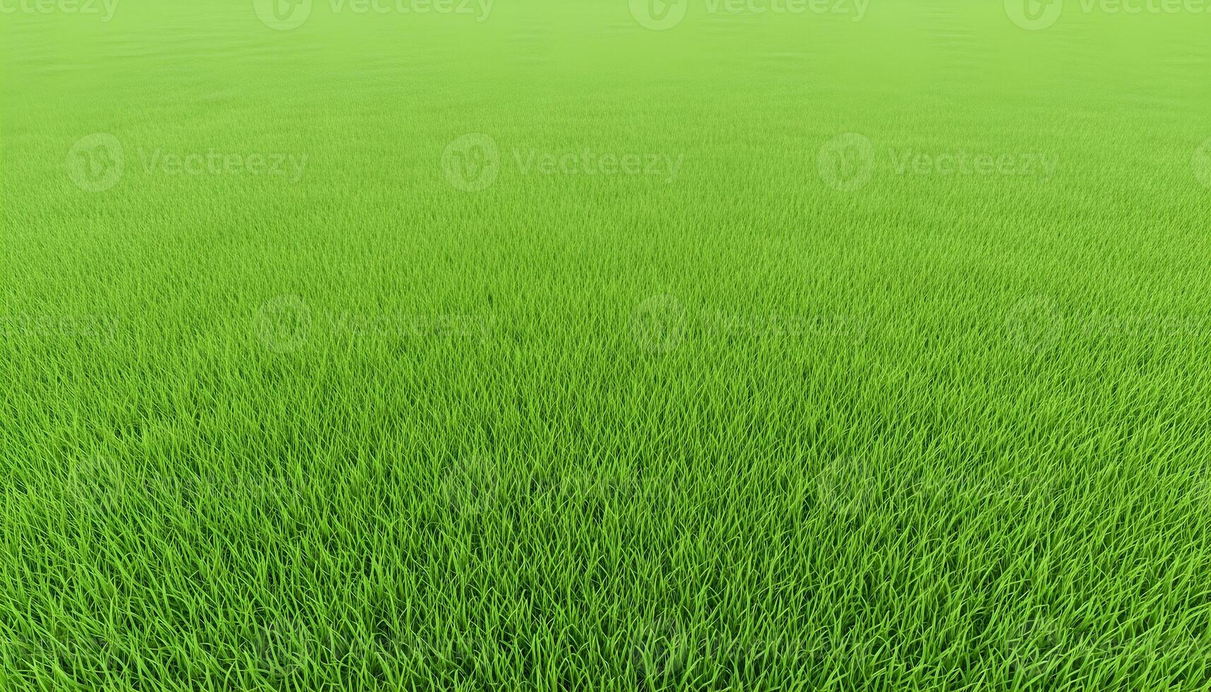 Vast green field with flowing dense grass and soft fresh tones in bright natural lighting photo