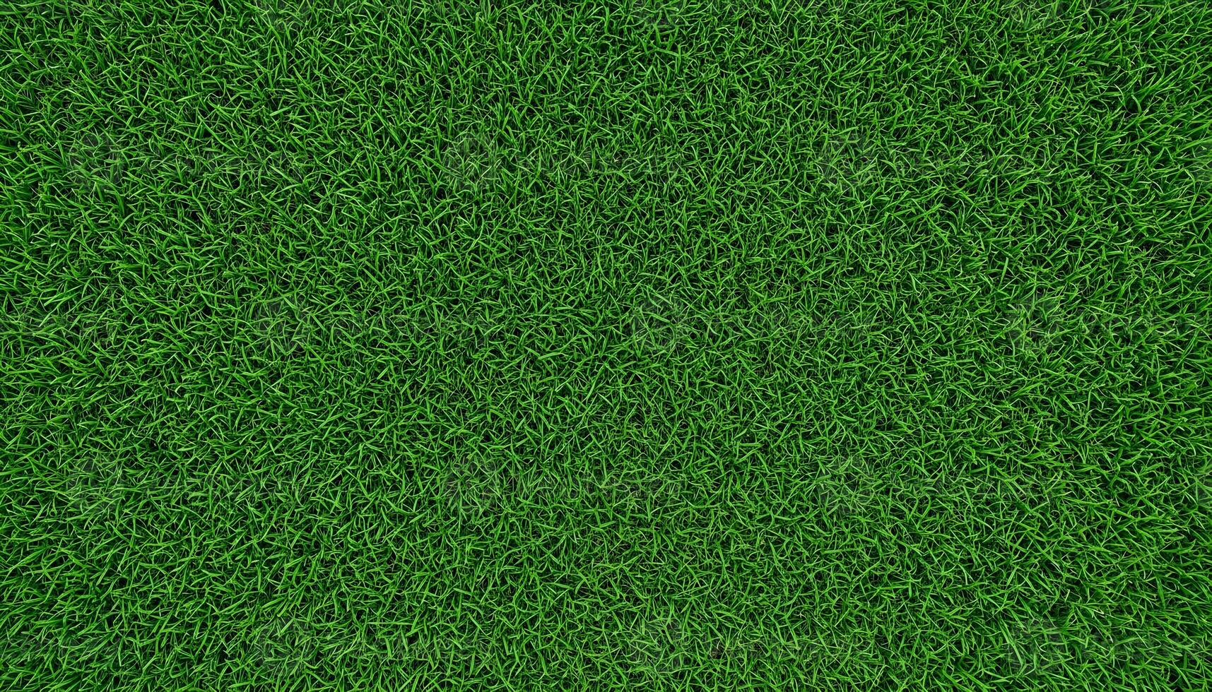 Expansive lush green field with flowing dense grass under soft natural lighting photo