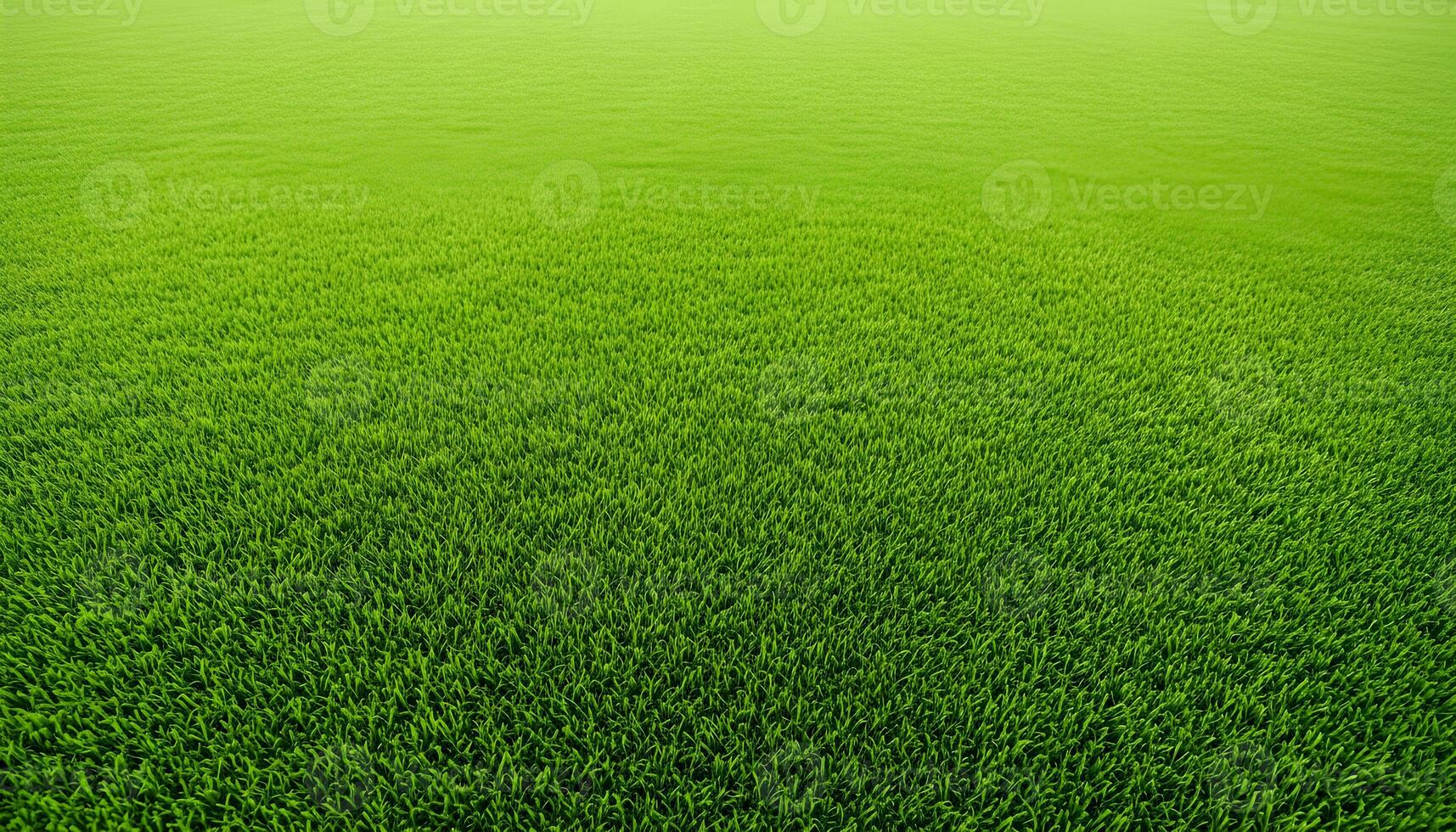 Expansive green field with dense fresh grass filling the entire frame in natural light photo