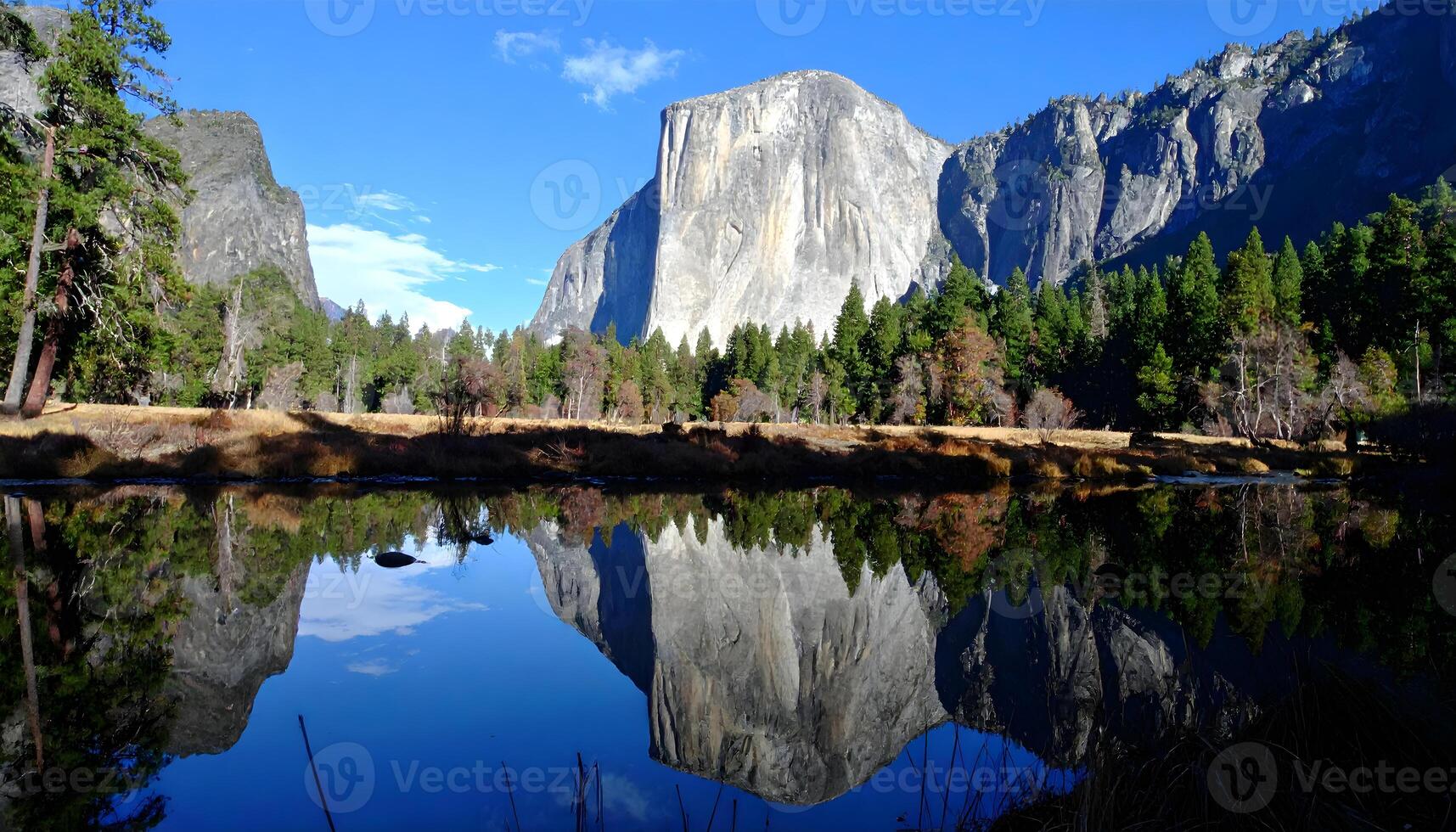 El Capitan granite wall reflecting in river surrounded by pine forest under clear blue sky Yosemite photo