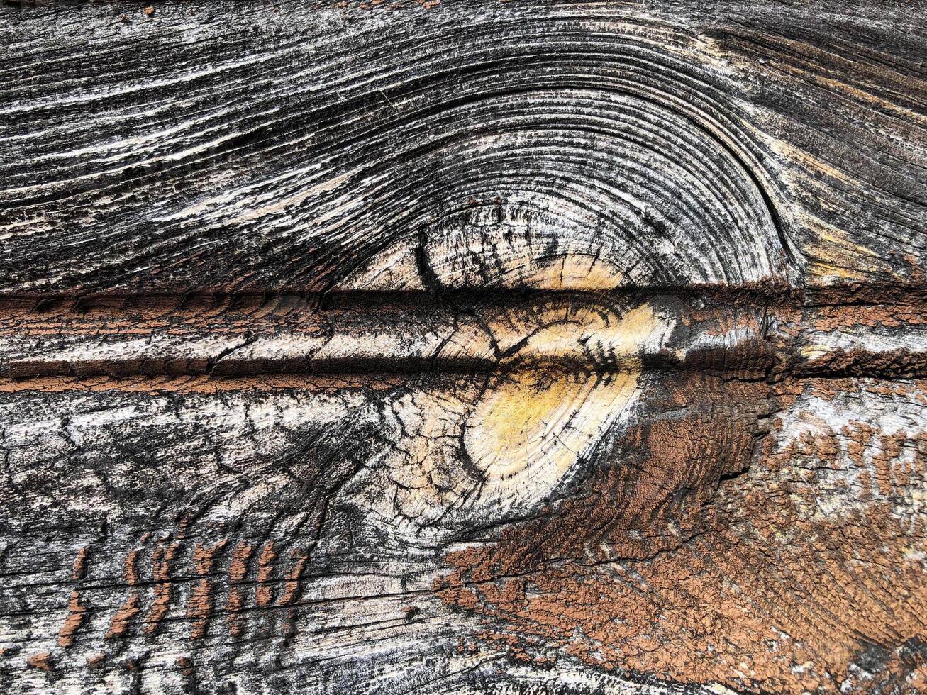 wood texture resembling an eye and eyebrow photo