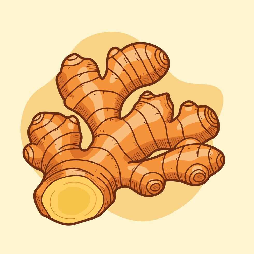 Ginger logo design vector