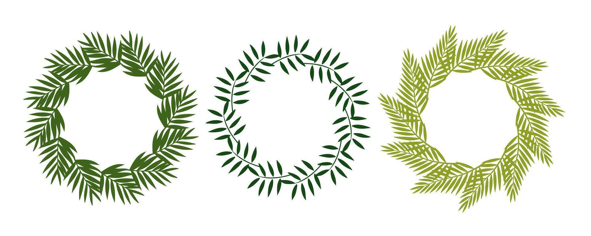Set of three round tropical leaf frames. Botanical wreaths with palm and fern leaves. Perfect for eco branding, wedding invitations, summer design, and natural cosmetic packaging. vector
