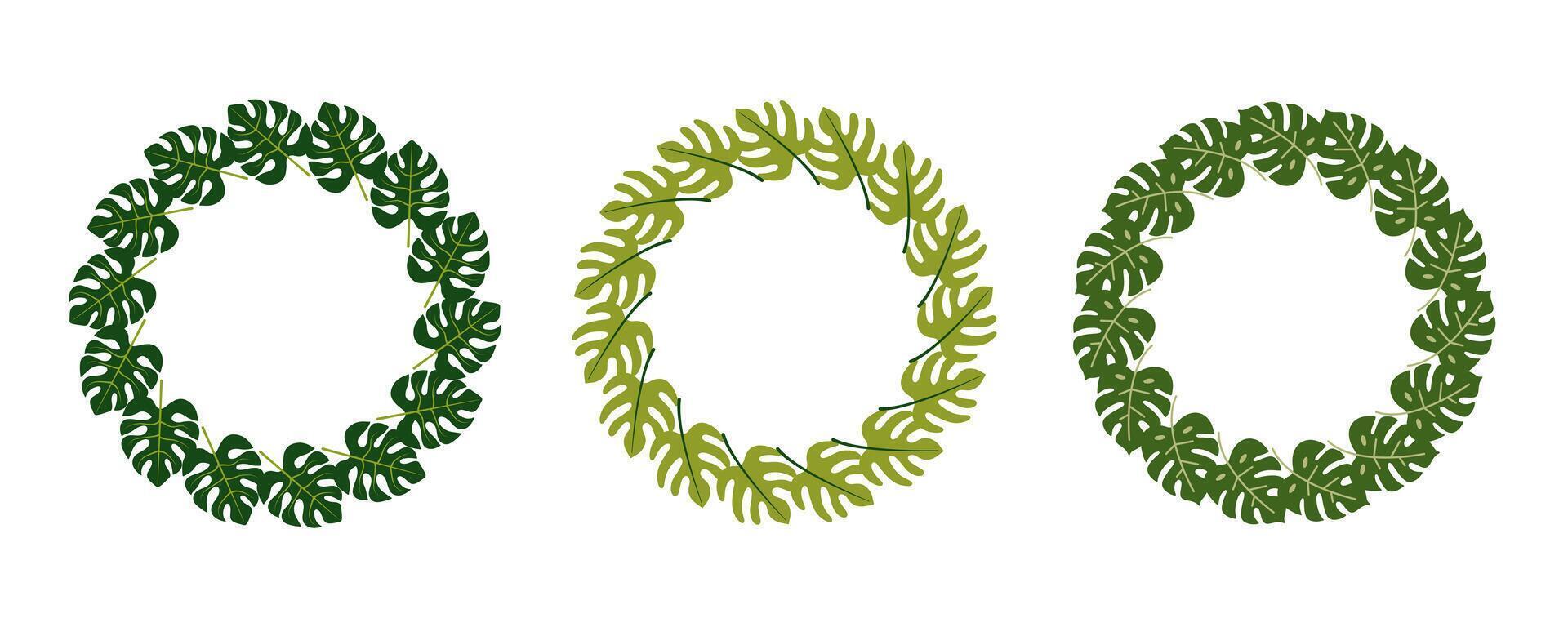 Set of three round tropical leaf frames. Botanical wreaths with green monstera and palm leaves. Perfect for eco branding, wedding invitations, summer design, and natural cosmetic packaging. vector