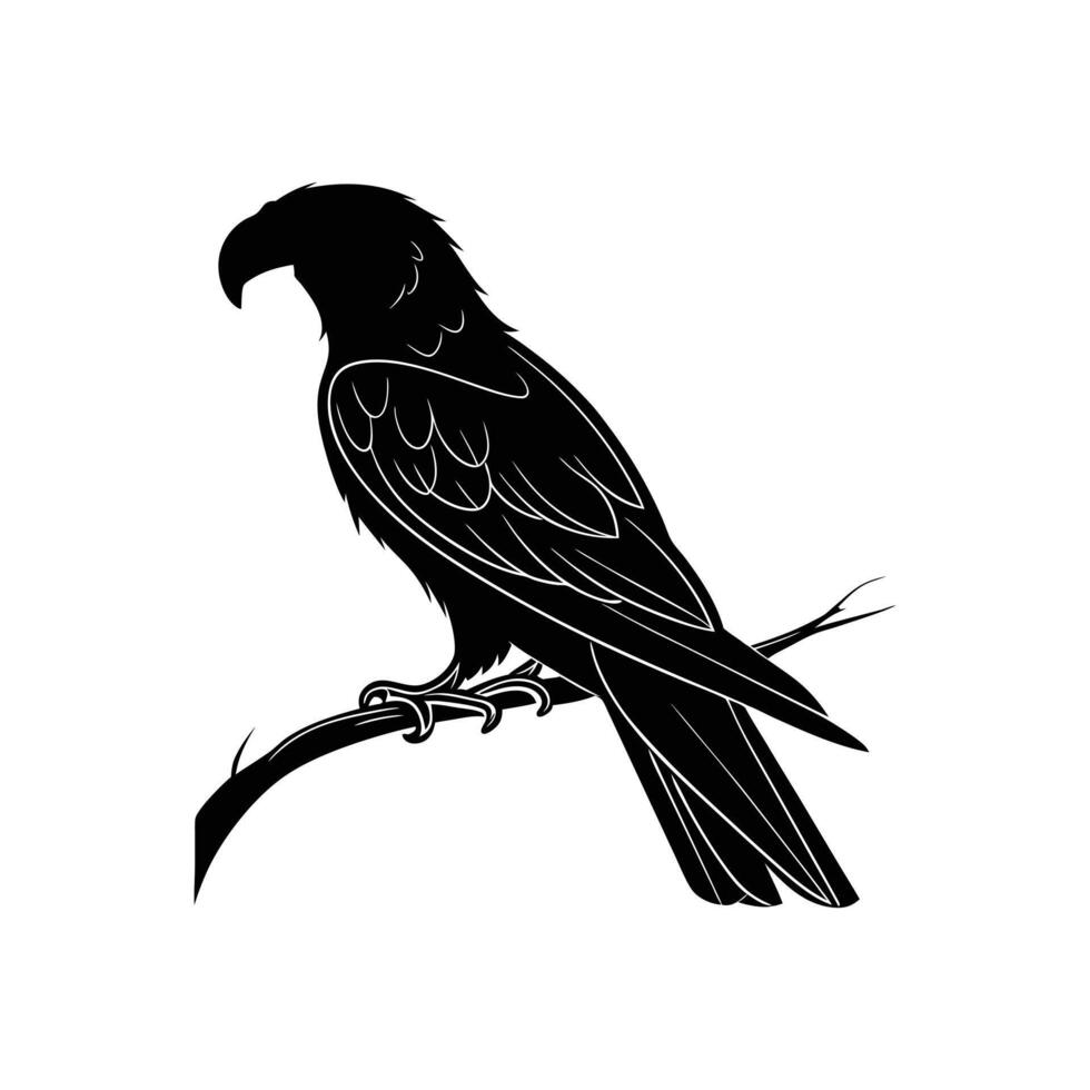 parrot black silhouette with solid background vector