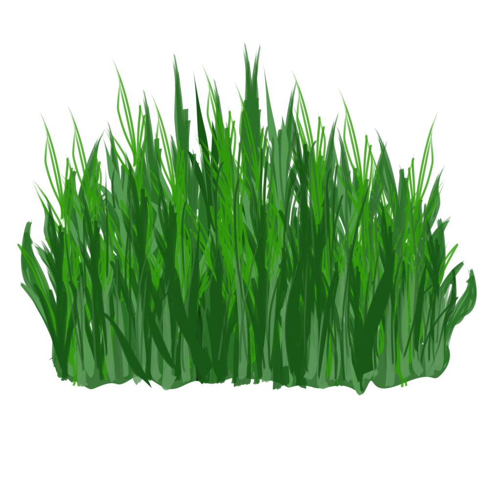 Green grass with hand-painted illustration. png