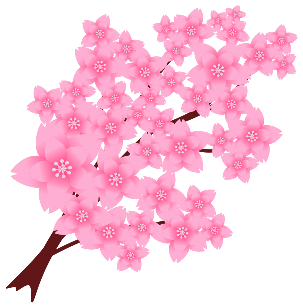 Sakura flower branch png