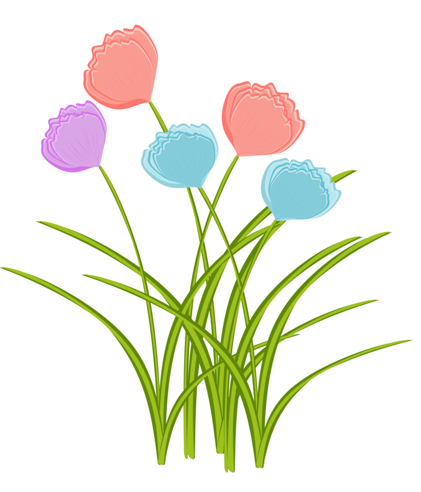 Cute tulips, blue, purple, pink png