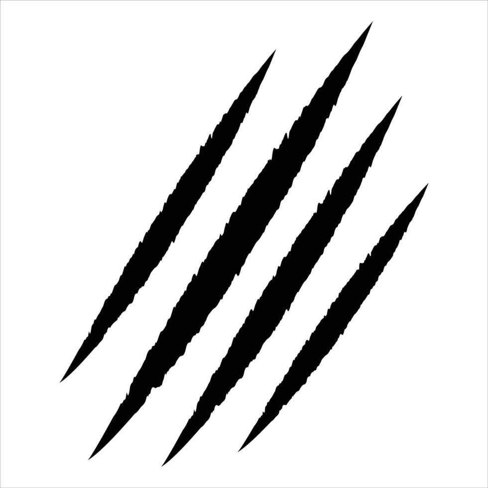 Animal Claw scratches icon vector