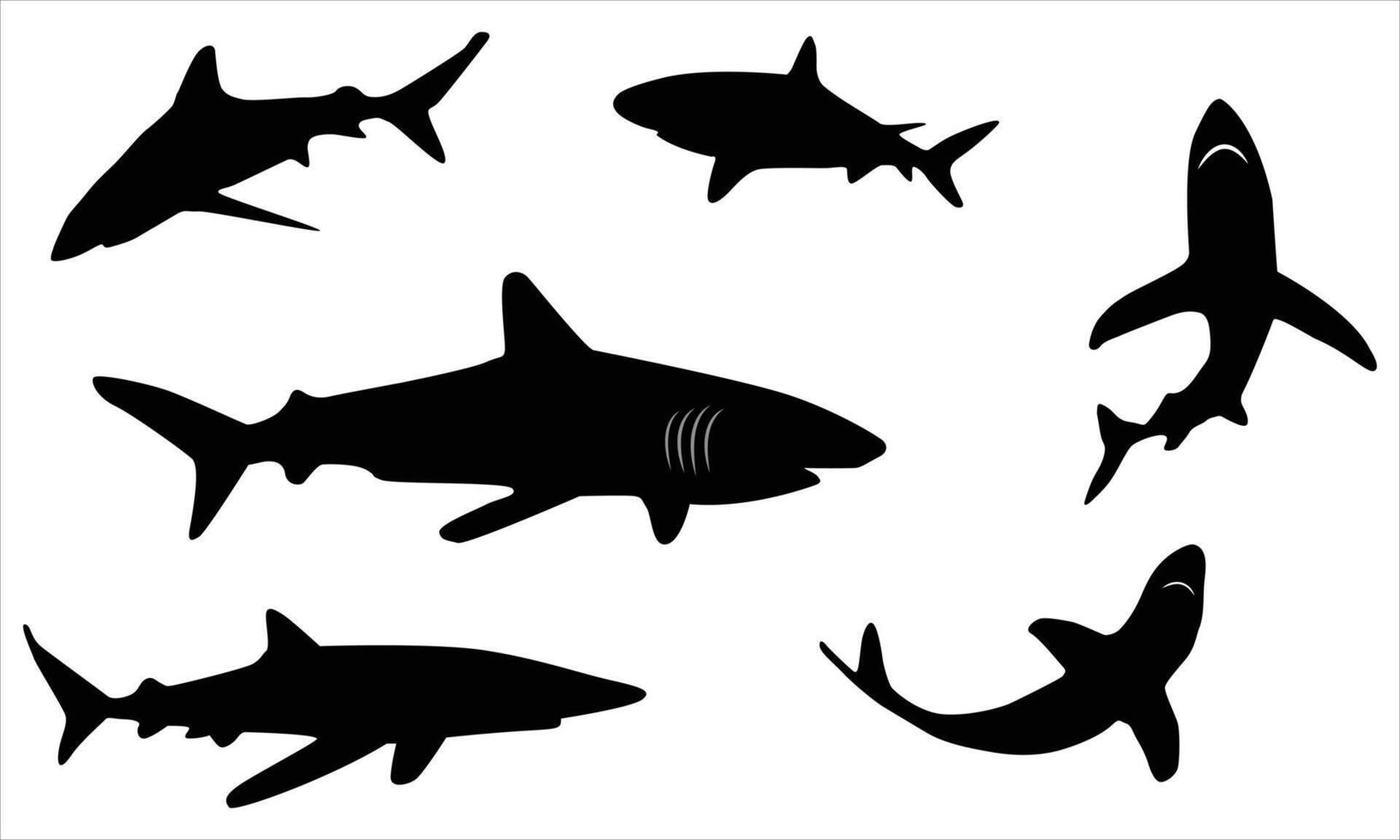 silhouettes set of shark vector