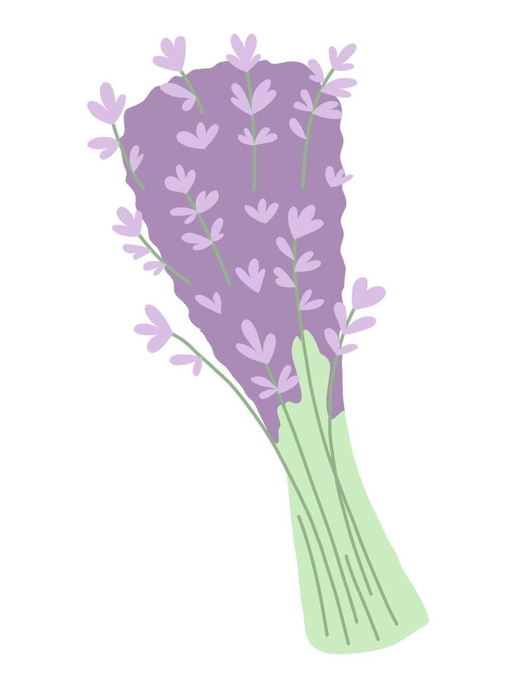 Lavender bouquet cartoon flat illustration vector