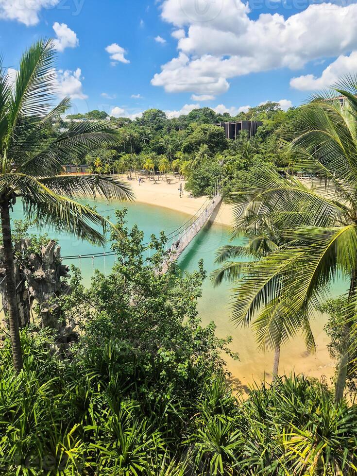 Scenic view of Sentosa Island in Singapore with lush greenery, sandy beach, and the iconic suspension bridge to the southernmost point of continental Asia photo