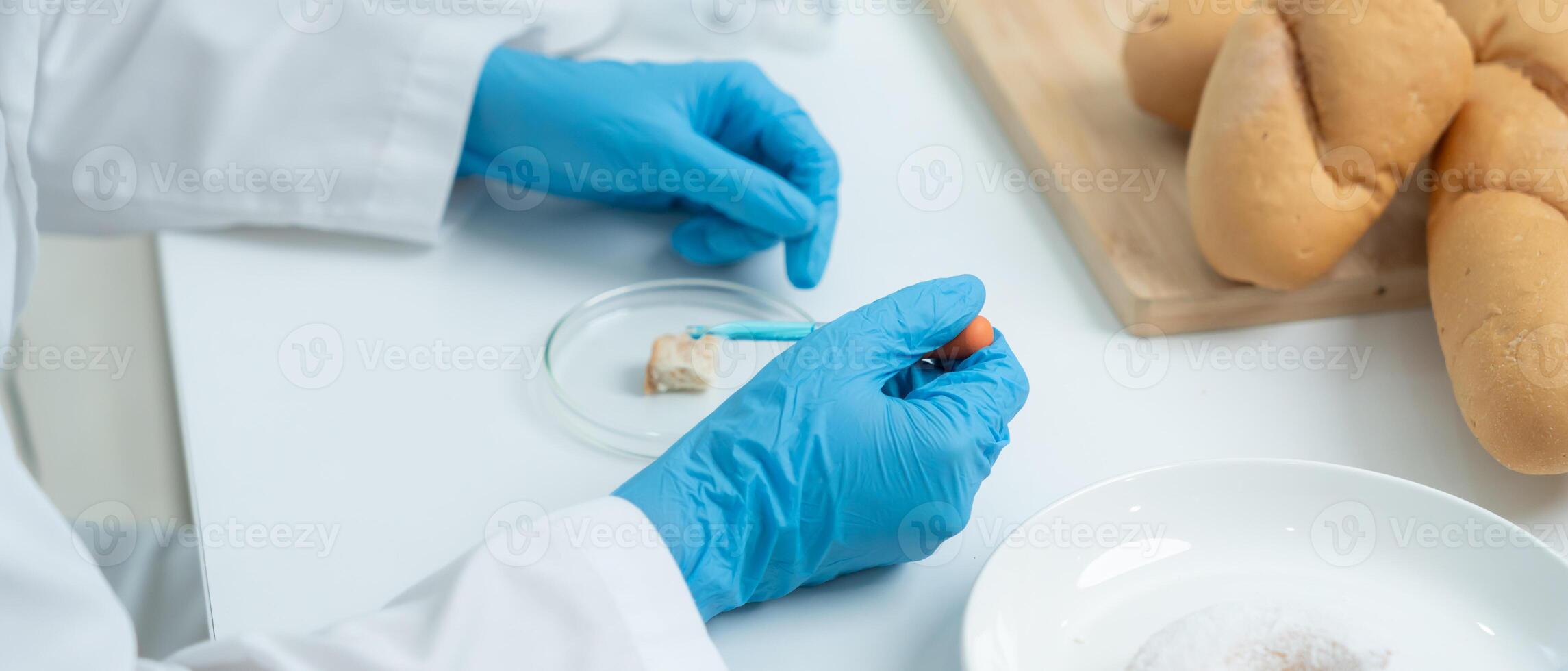 Scientist check chemical and fungus in laboratory. Control experts inspect the concentration of chemical residues. hazards, standard, prohibited substances, contaminate photo