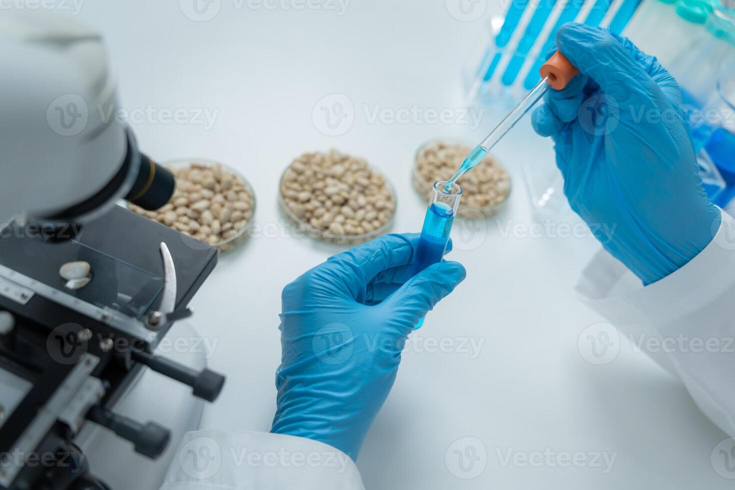 Scientist check whole grains residues in laboratory. Control experts inspect the concentration of chemical residues. hazards, standard, prohibited substances, contaminate, Microbiologist photo