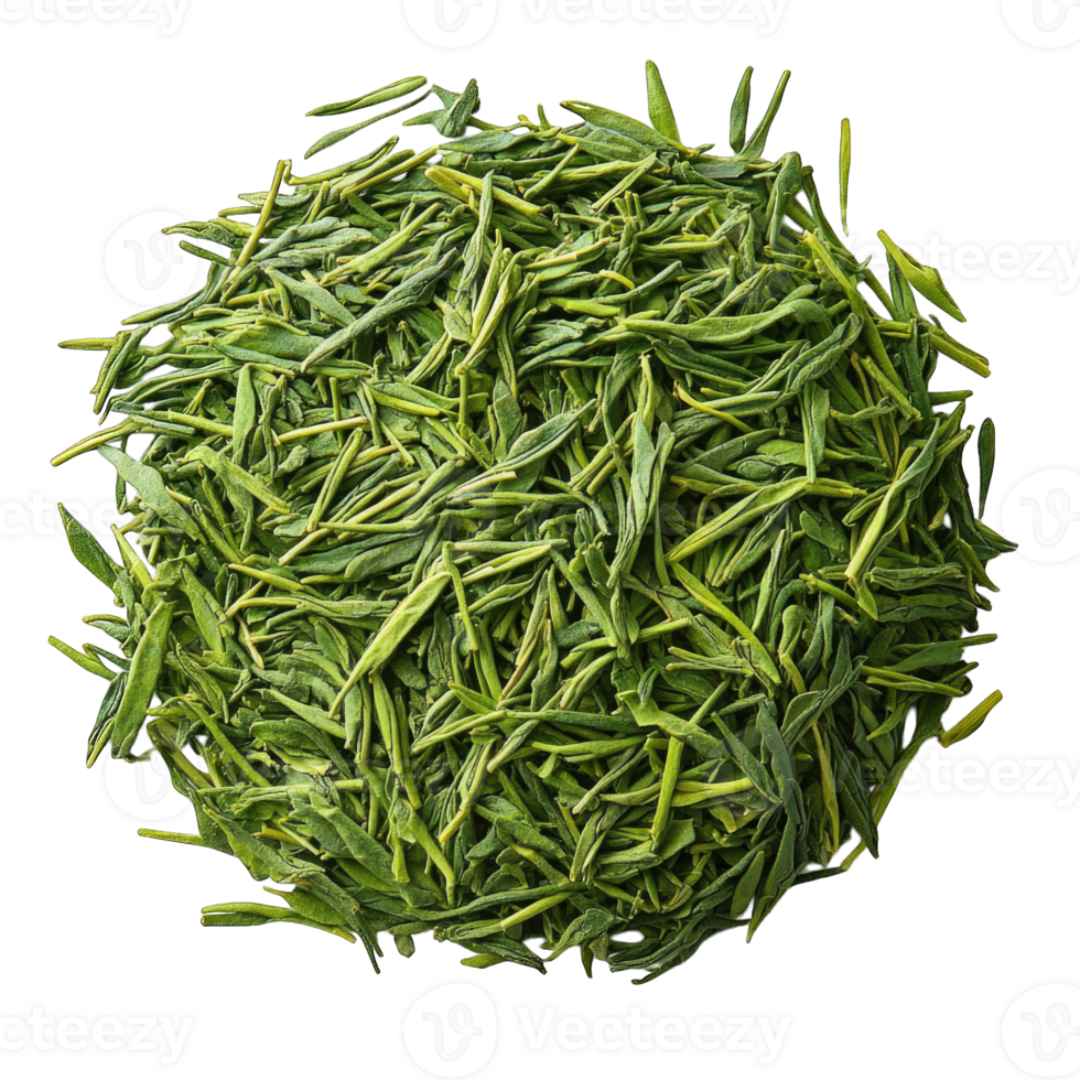 Fresh green tea leaves arranged in a circular shape isolated on transparent background cutout png