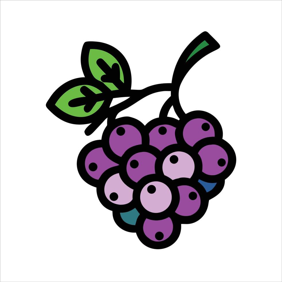 Grape fruit icon vector
