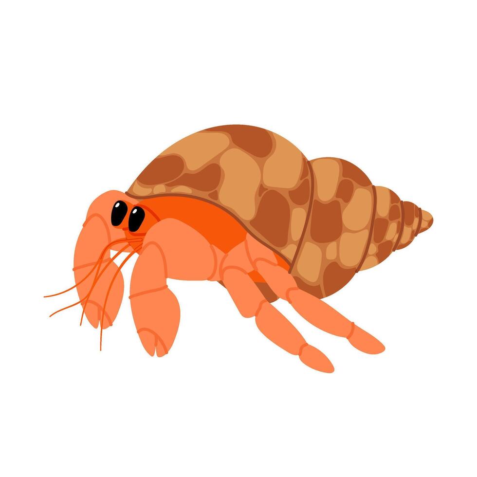 Orange hermit crab. Sea shell. Crawfish in a seashell. Sea animal. Beach. vector