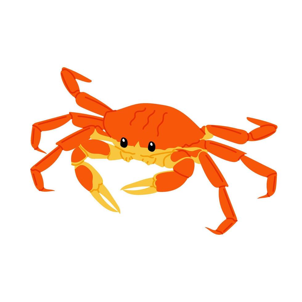 Sea crab. Marine animal. Seafood illustration in flat style. Red crab on a white background. vector