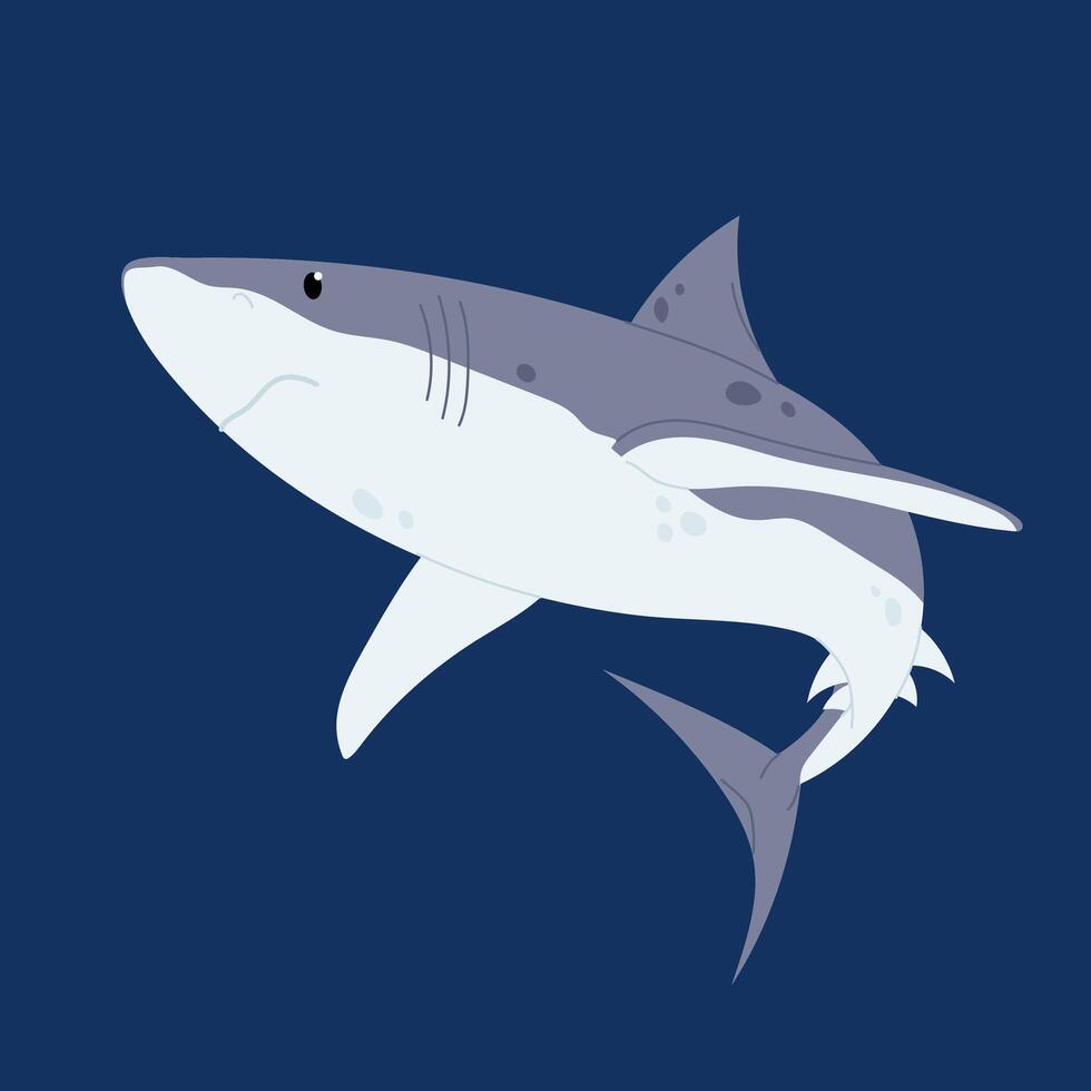 Marine animal. Predatory fish. Shark. Flat illustration of the dangerous shark. vector