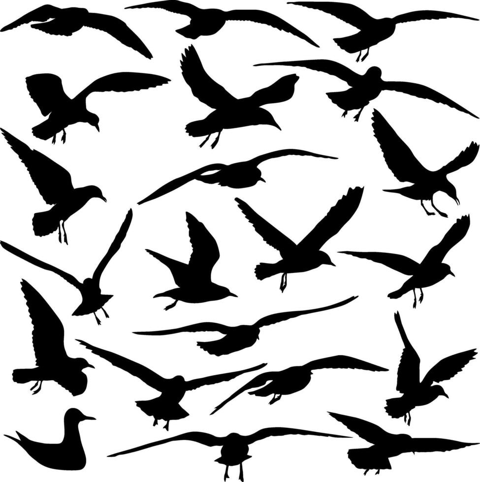 Set silhouette on a white background of a sea gull vector
