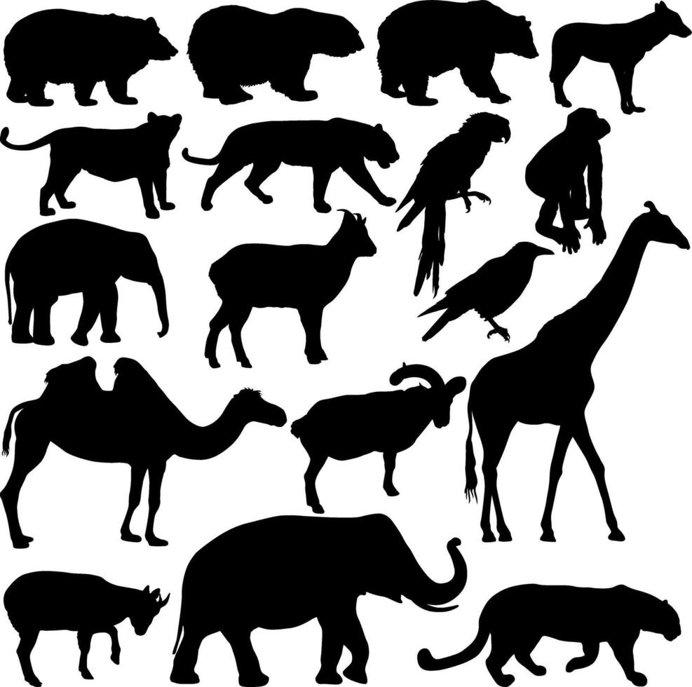 Silhouette elephant bear eagle trot duck zebra on a white background vector