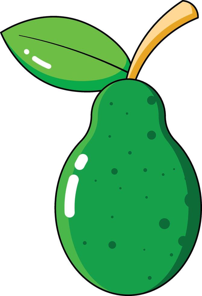 avocado vectors illustration
