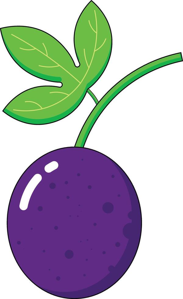 passion fruit vestors illustration vector