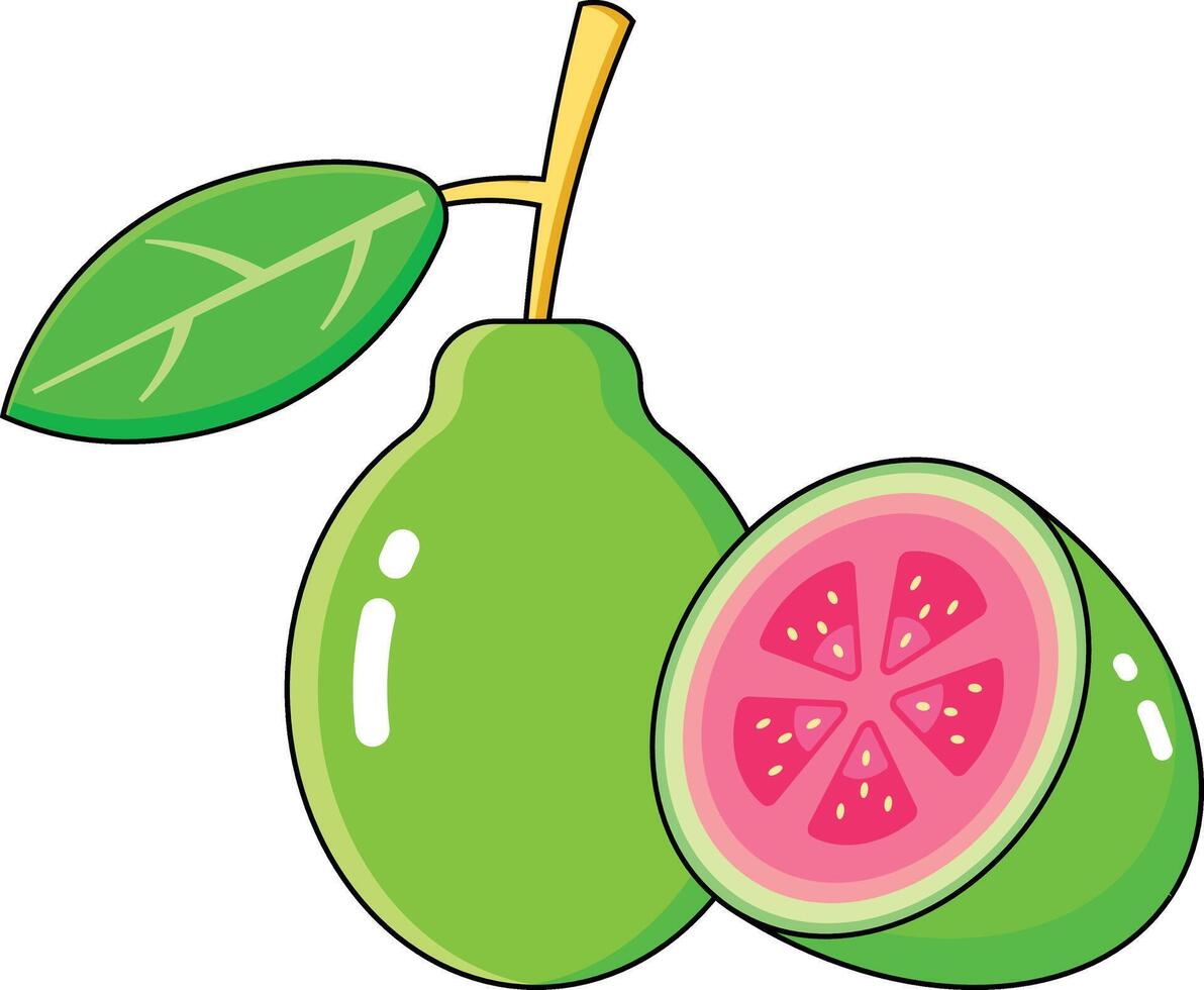 guava vectors design