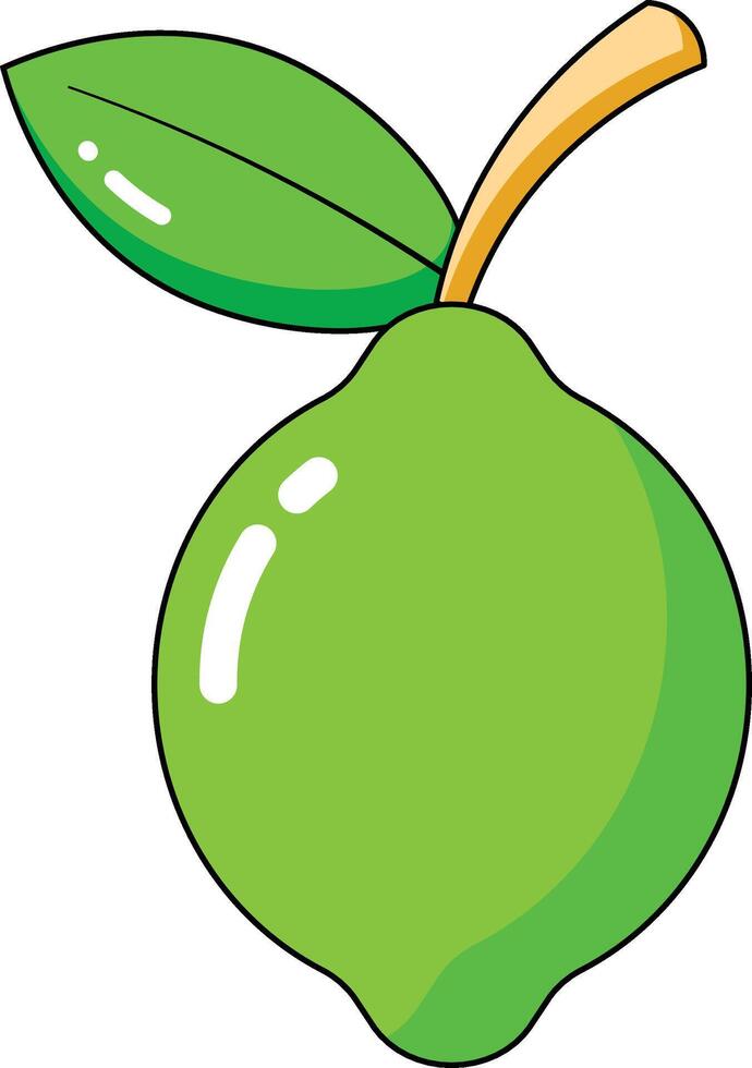 lime vectors illustration