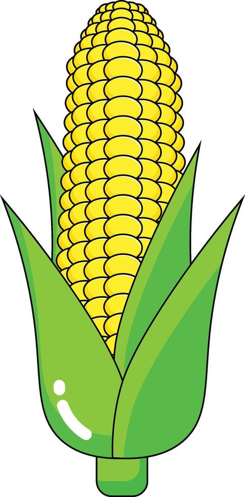 corn vectors illustration