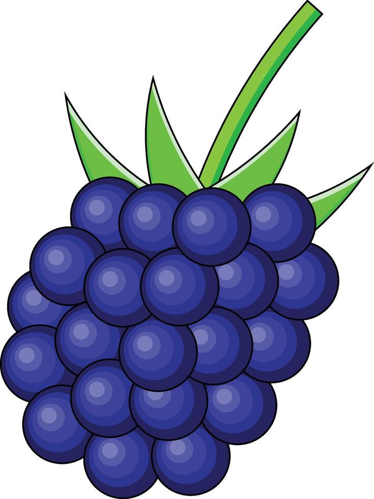 blackberry vectors design