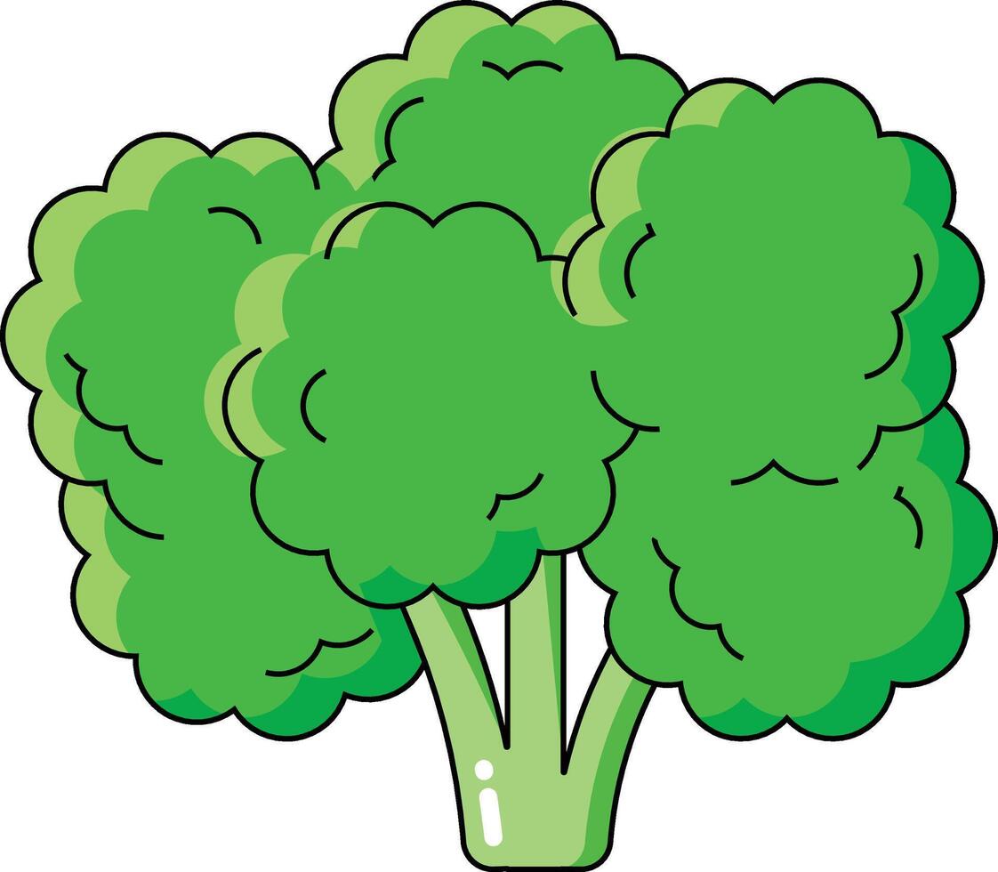 Cauliflower vectors art illustration